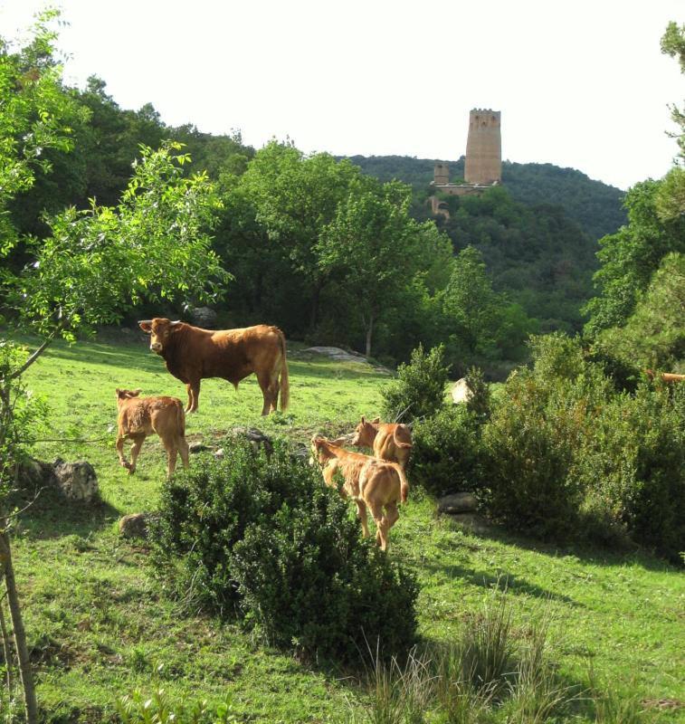 Hotel Rural Jaumet Tora de Riubregos Exterior foto